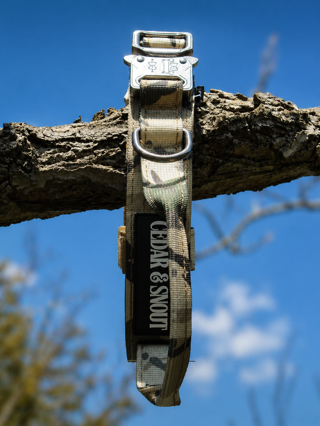 Vanguard Collar