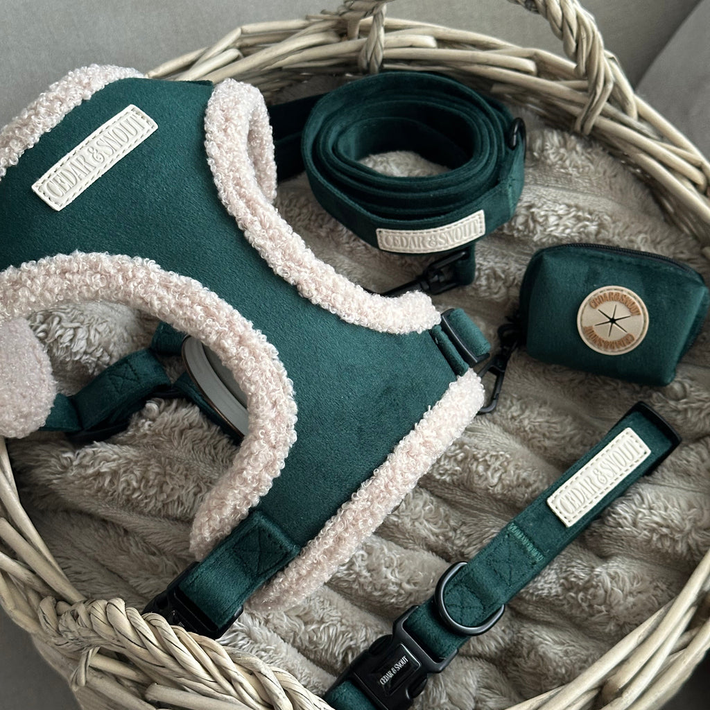 Cabin Evergreen - Harness, Collar, Lead & Poop Bag Holder Bundle