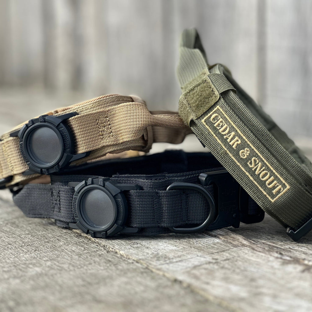 Tactical Collar + GPS Holder