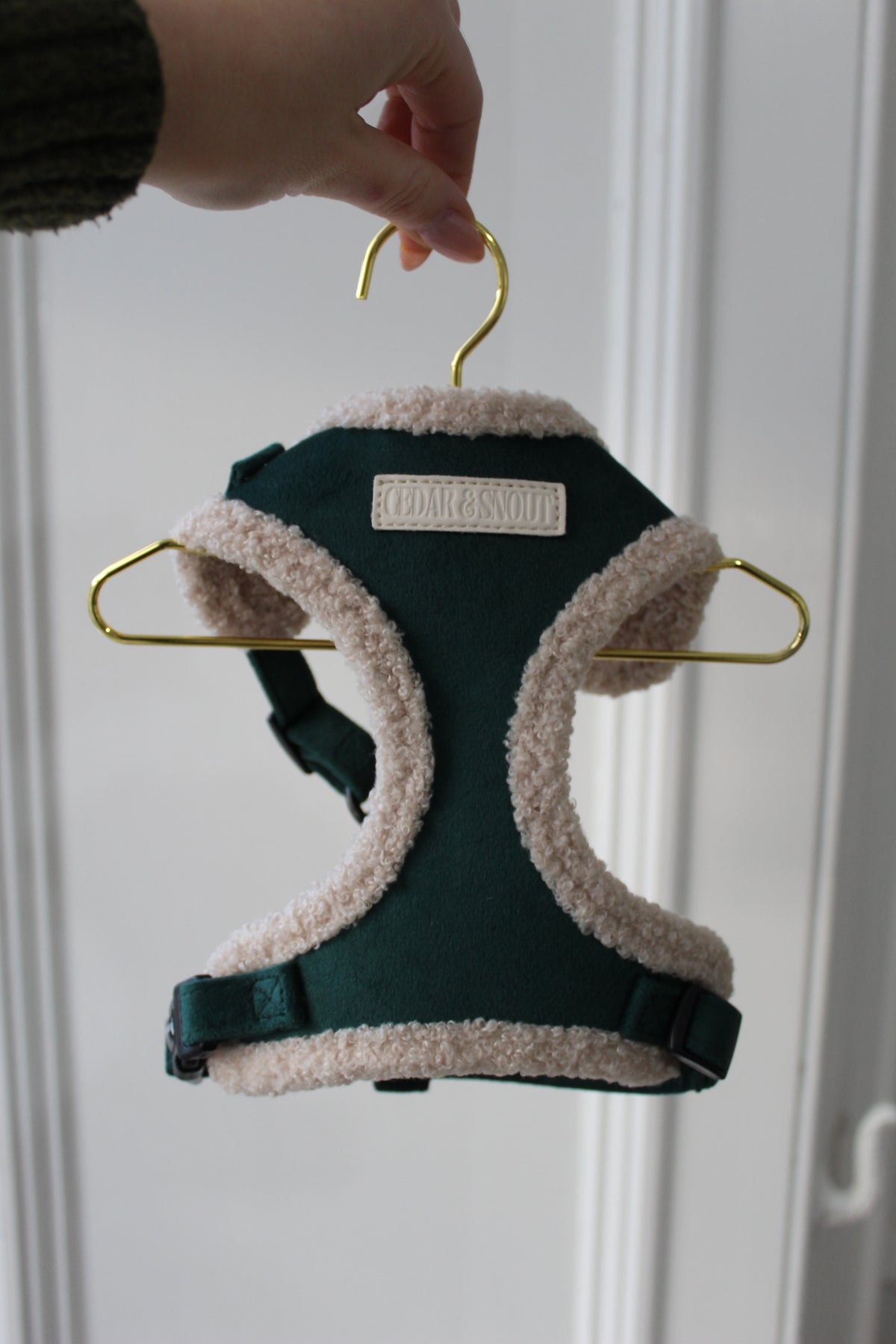 Cabin Evergreen - Harness, Collar, Lead & Poop Bag Holder Bundle