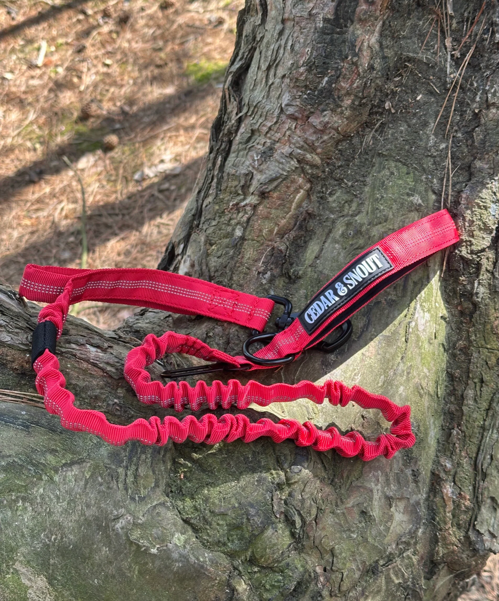 Vanguard Seatbelt Lead