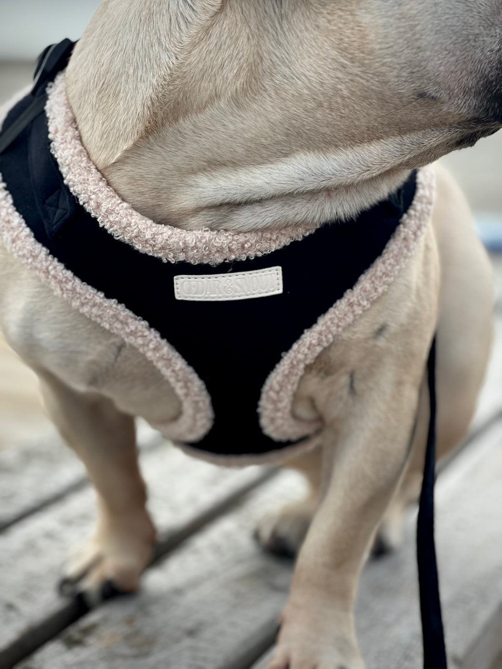 Cabin Harness - Onyx