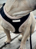 Cabin Harness - Onyx