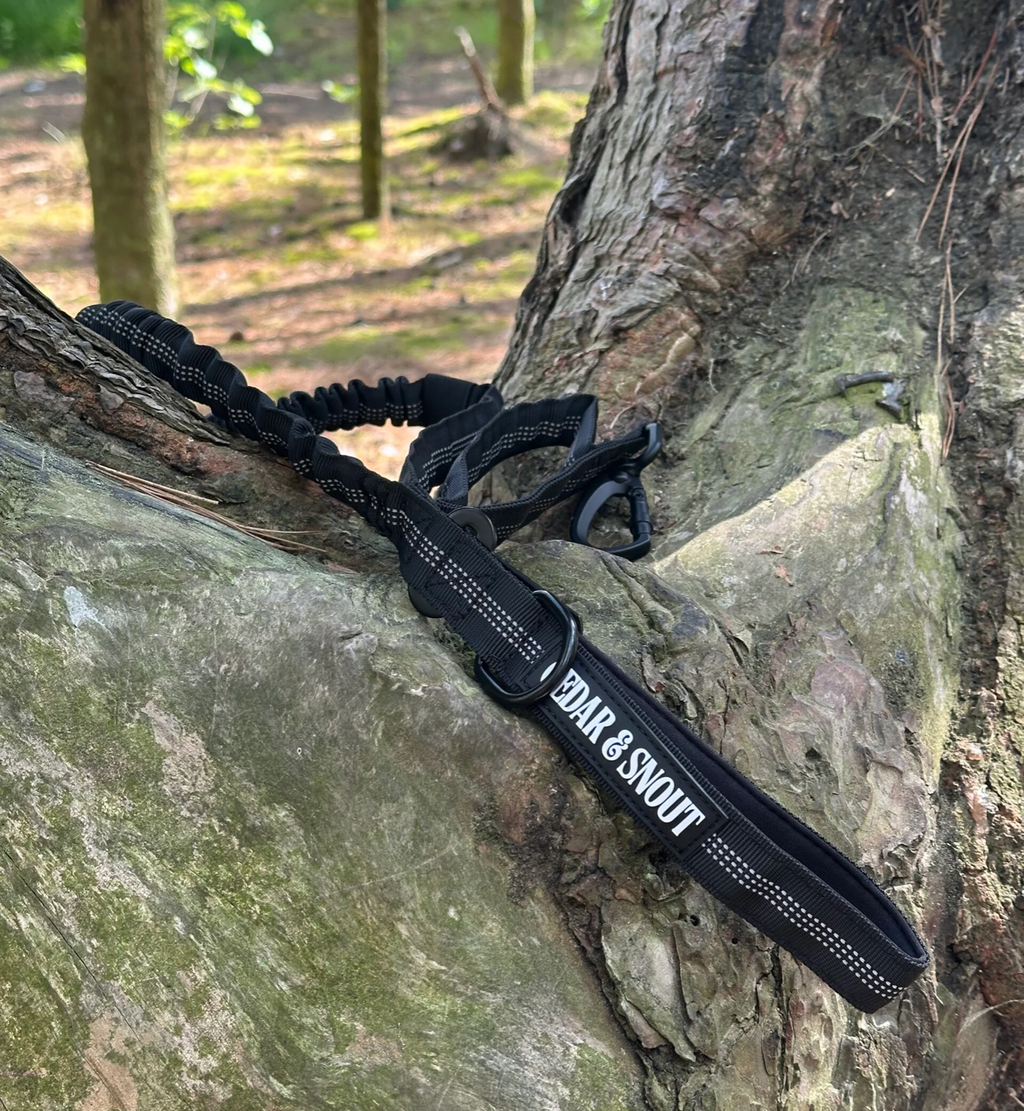 Vanguard Seatbelt Lead