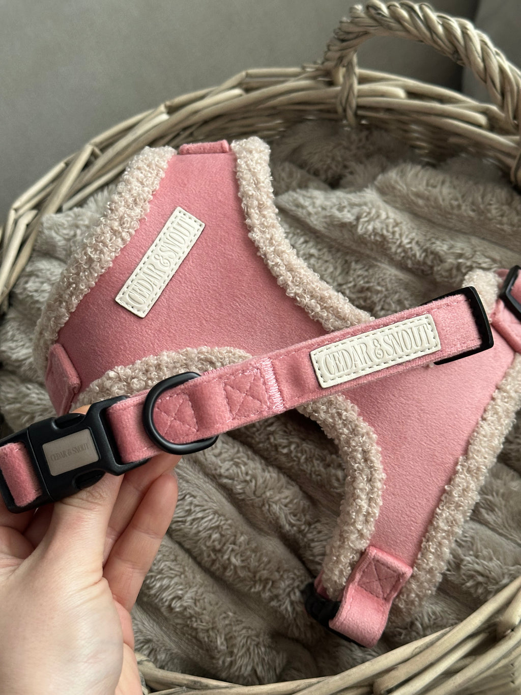 Cabin Bloom - Harness, Collar, Lead & Poop Bag Holder Bundle