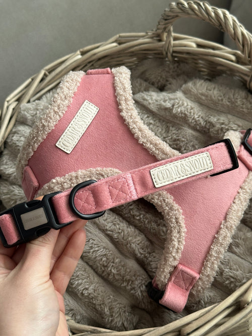 Cabin Dog Collar - Bloom