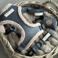 Cabin Ash - Harness, Collar, Lead & Poop Bag Holder Bundle
