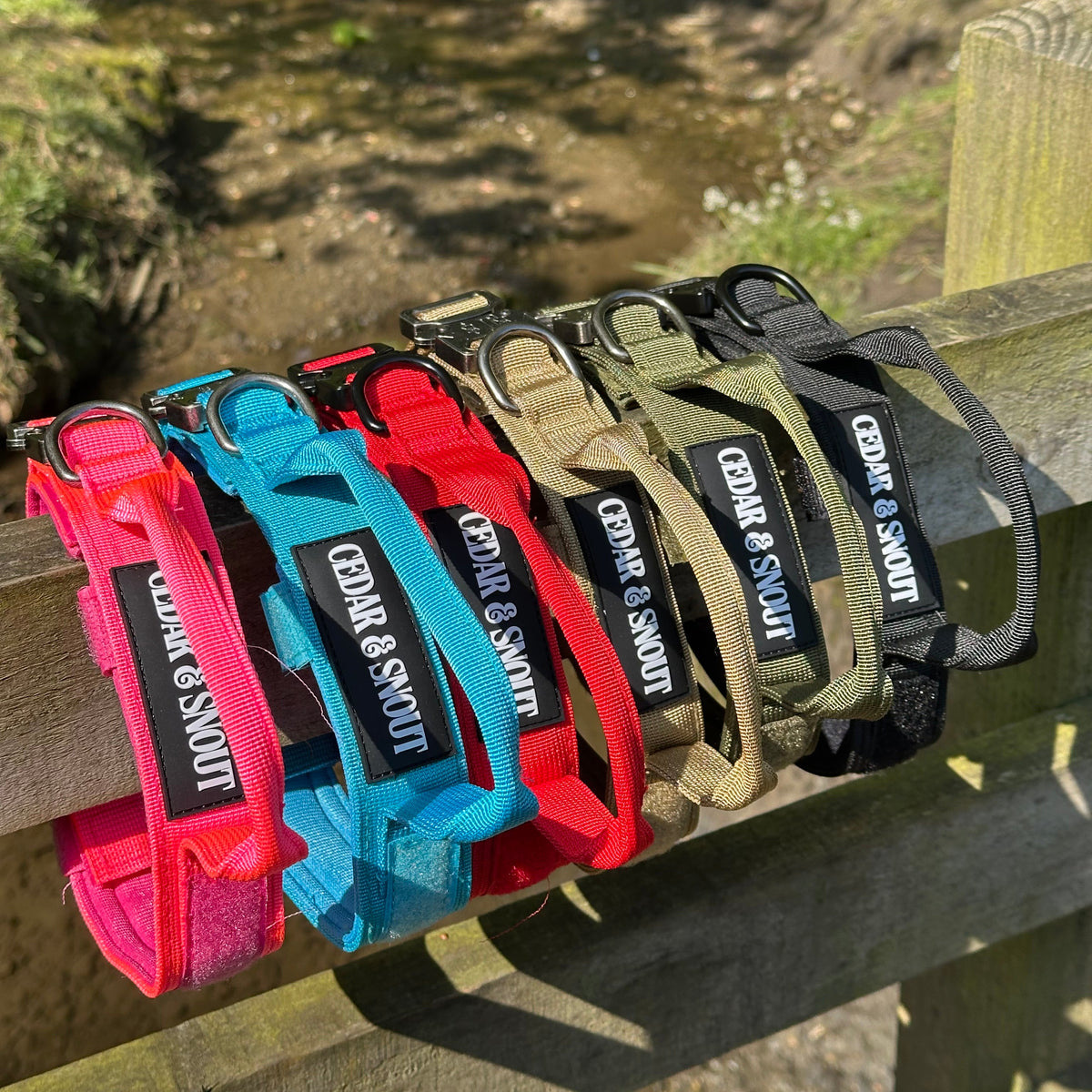 Vanguard Collar