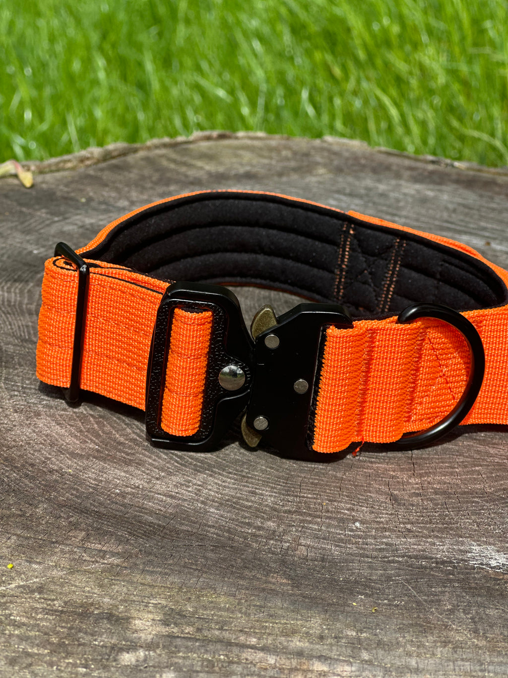 Ranger Dog Collar - Orange