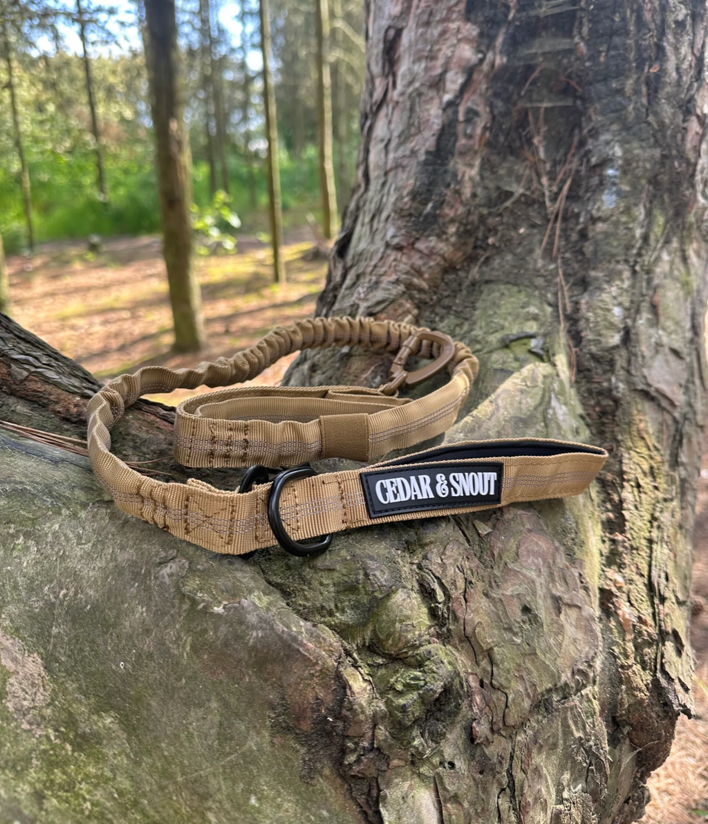 Vanguard Seatbelt Lead