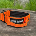 Ranger Dog Collar - Orange