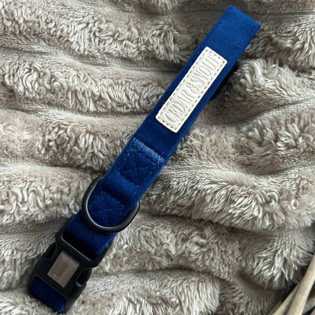 Cabin Loch - Harness, Collar, Lead & Poop Bag Holder Bundle