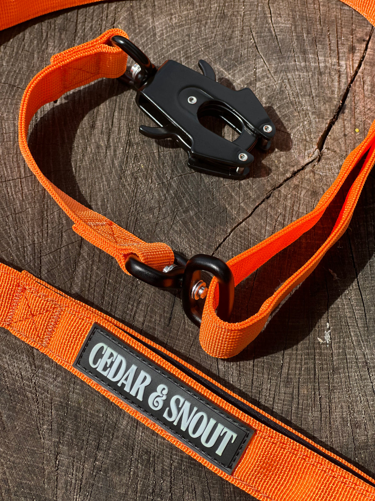 Ranger Collar & Lead Bundle