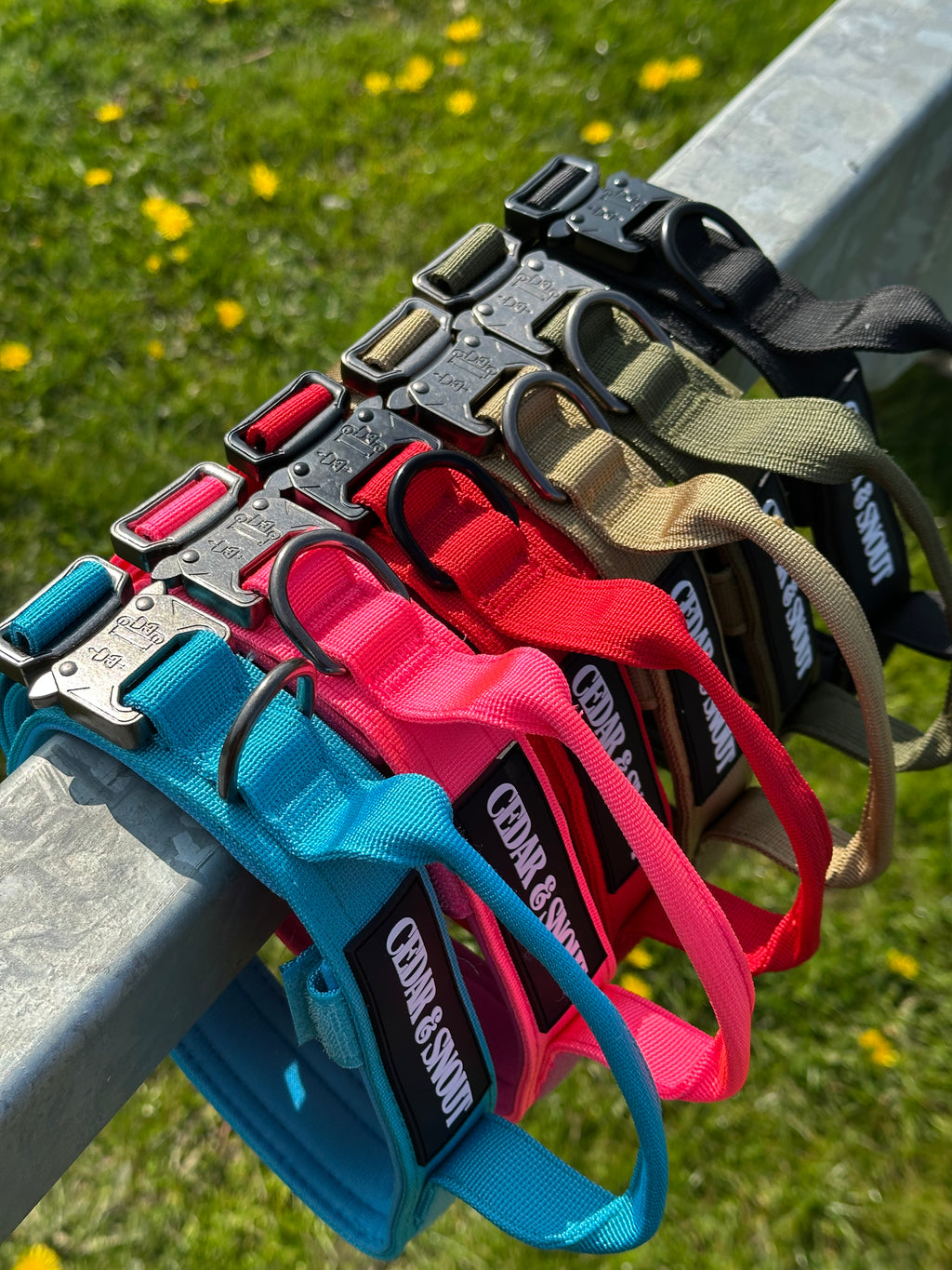 Vanguard Collar