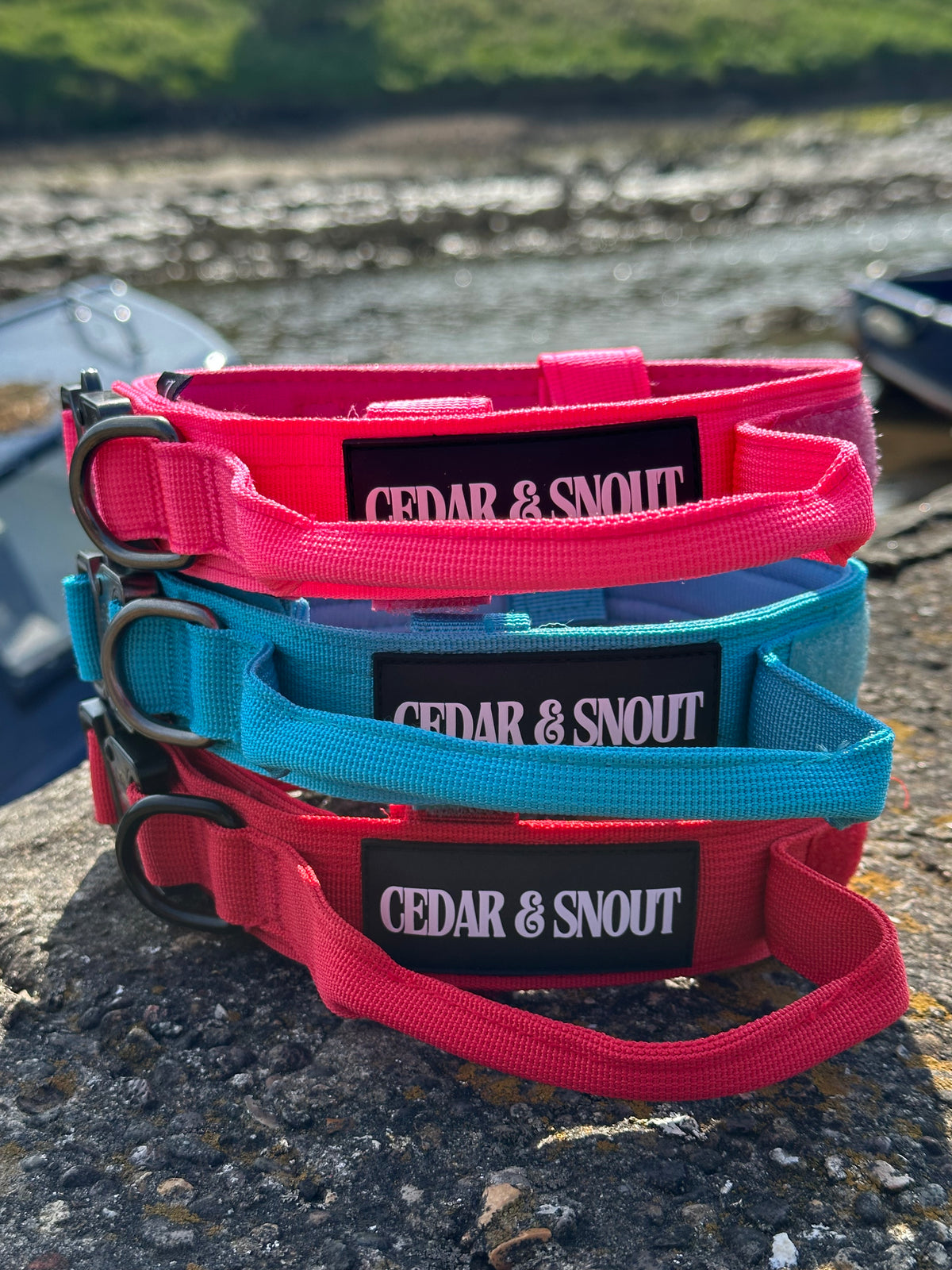Vanguard Collar