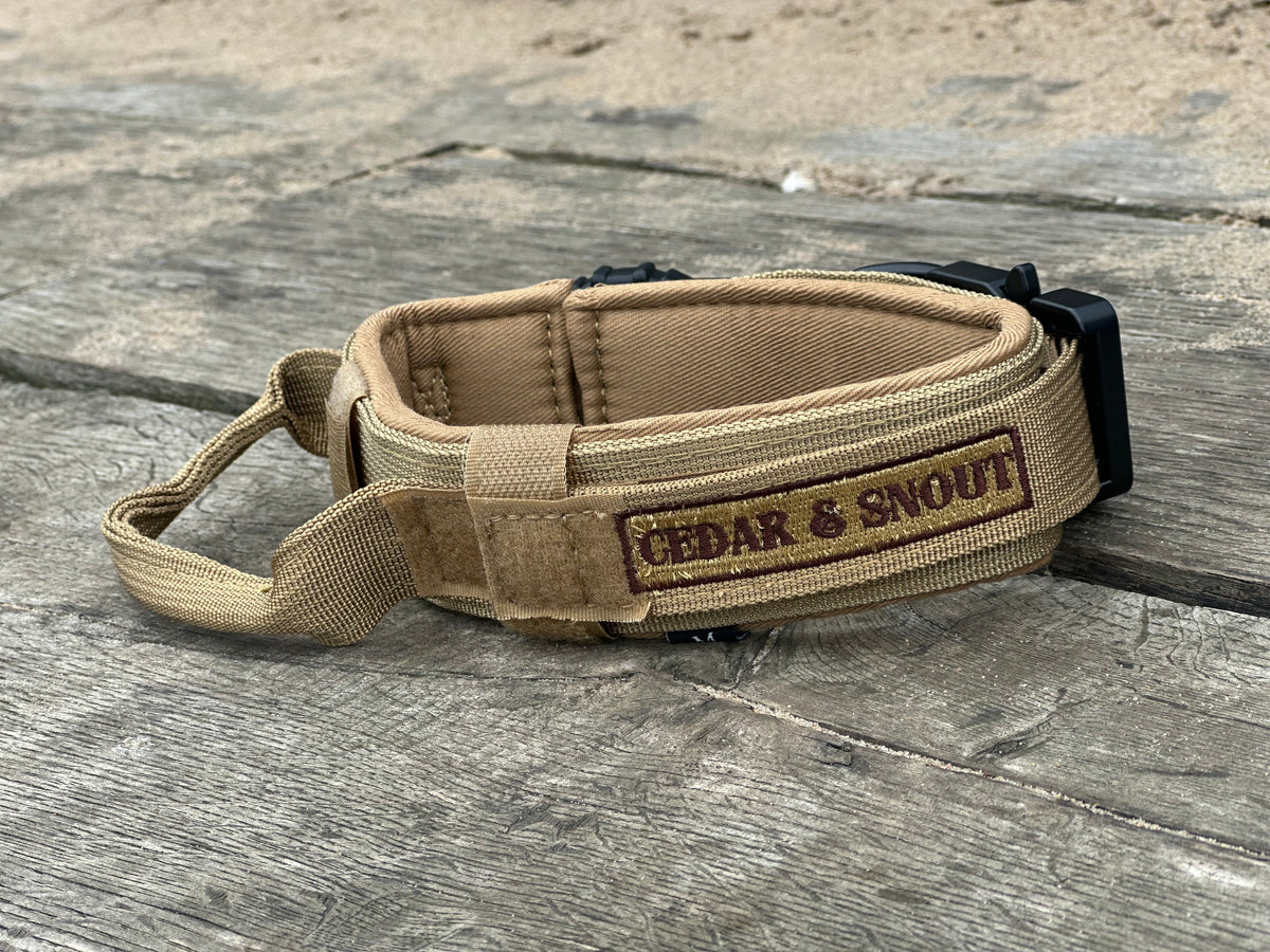 Tactical Collar + GPS Holder