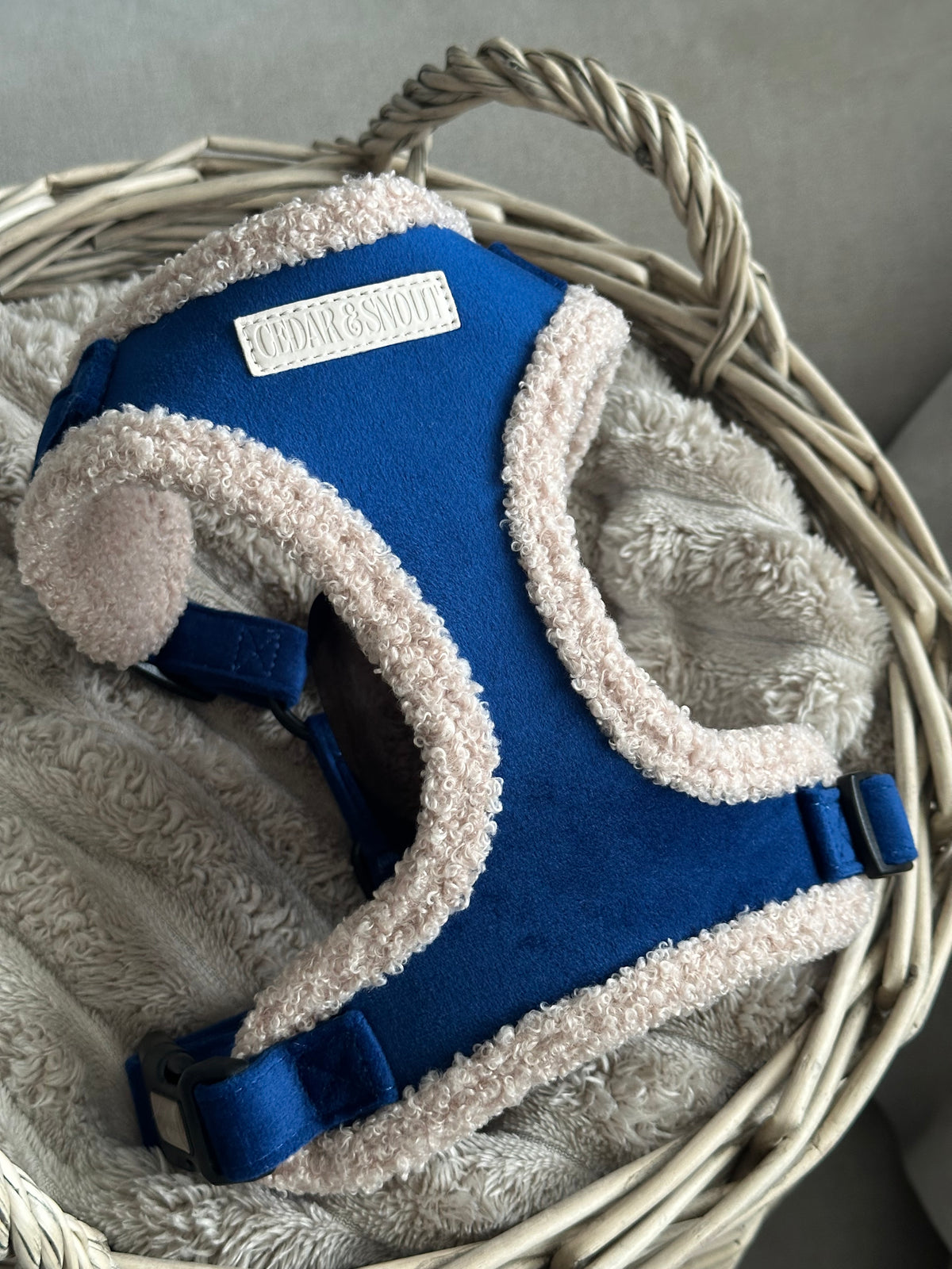 Cabin Loch - Harness, Collar, Lead & Poop Bag Holder Bundle
