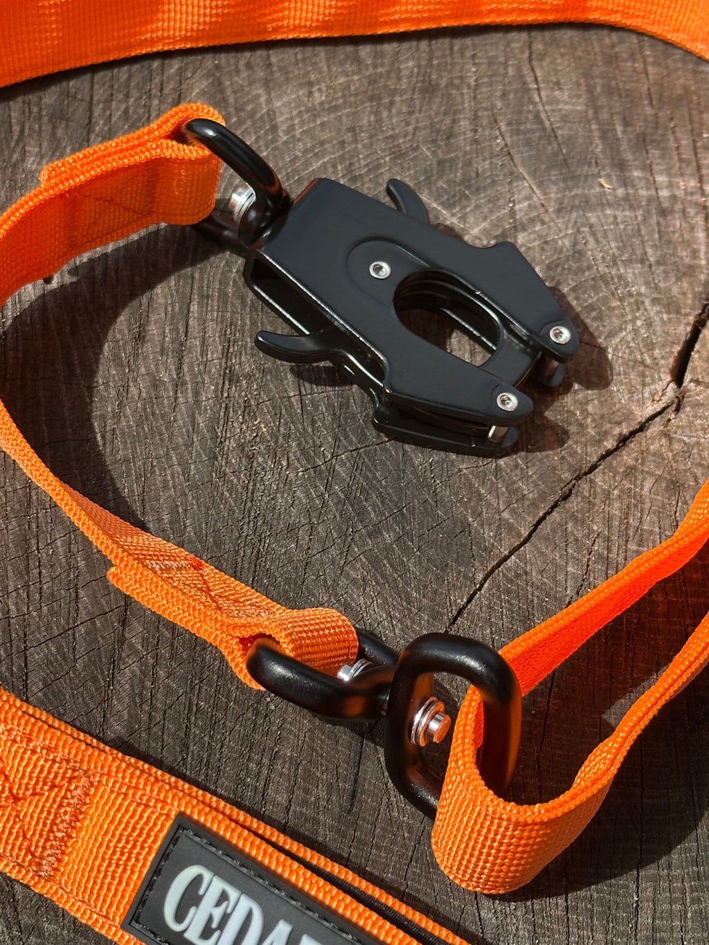 Ranger Collar & Lead Bundle
