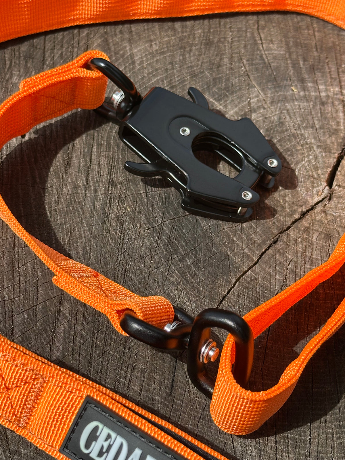 Ranger Collar & Lead Bundle