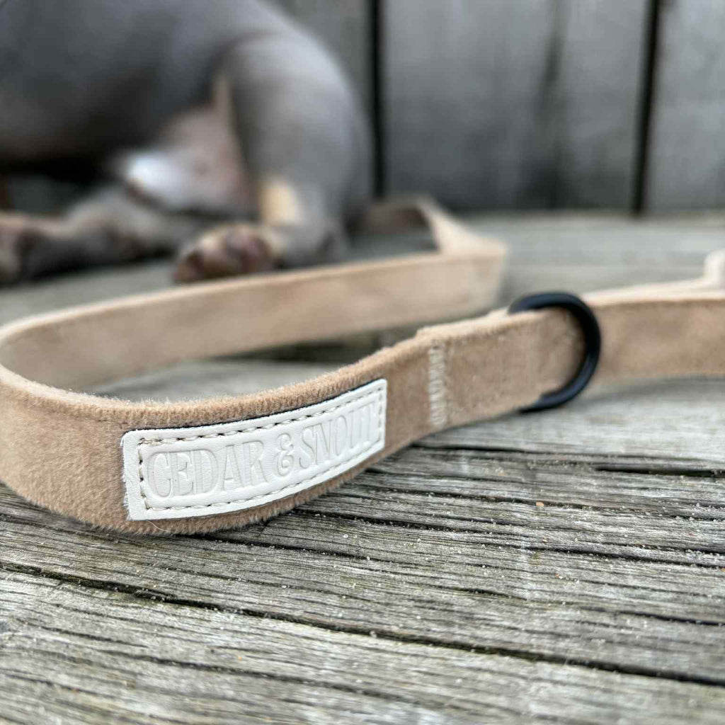 Cabin Fawn - Harness, Collar, Lead & Poop Bag Holder Bundle