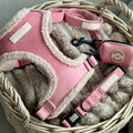Cabin Bloom - Harness, Collar, Lead & Poop Bag Holder Bundle