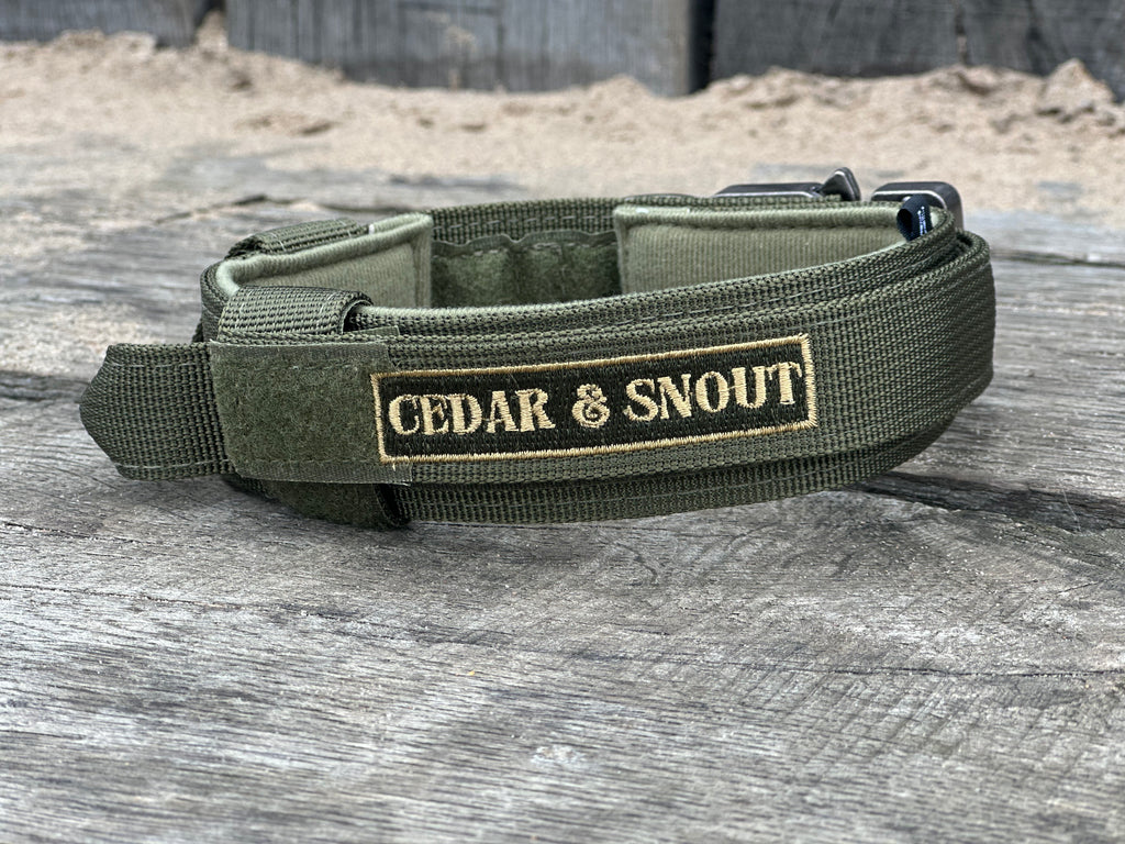 Tactical Collar + GPS Holder