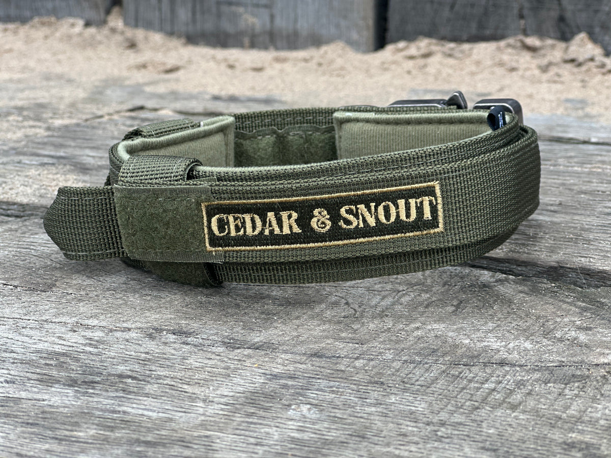 Tactical Collar + GPS Holder
