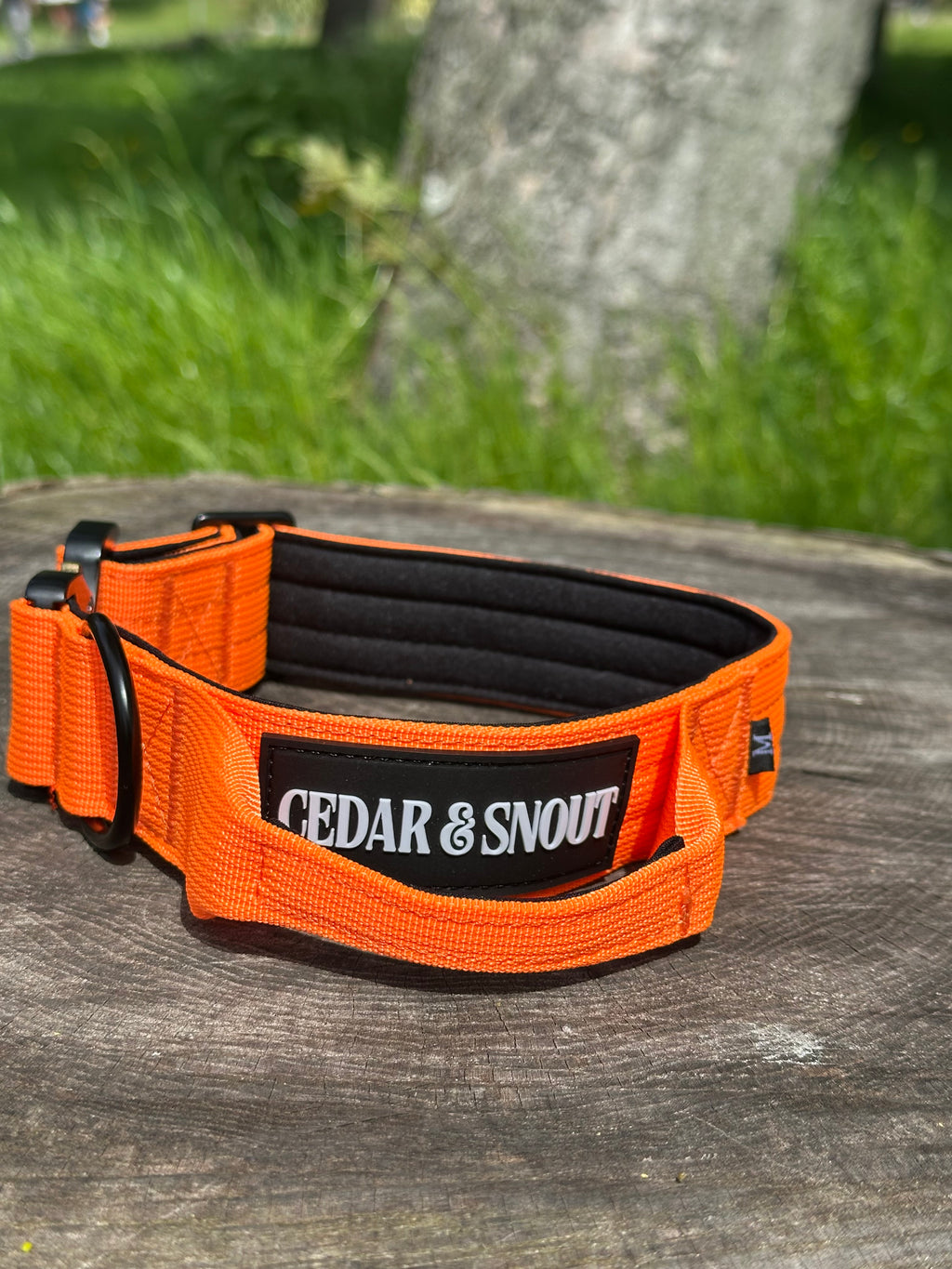 Ranger Collar & Lead Bundle