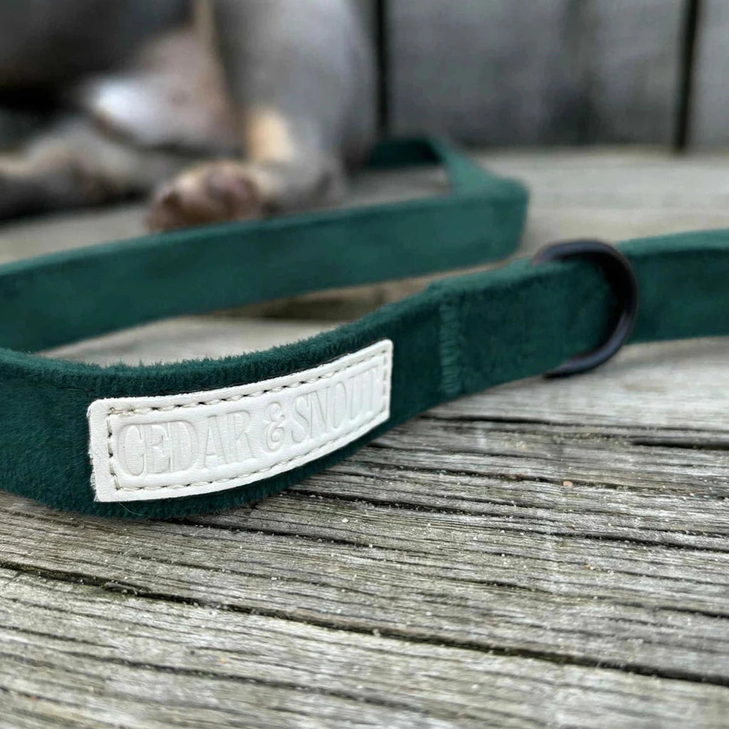 Cabin Evergreen - Harness, Collar, Lead & Poop Bag Holder Bundle