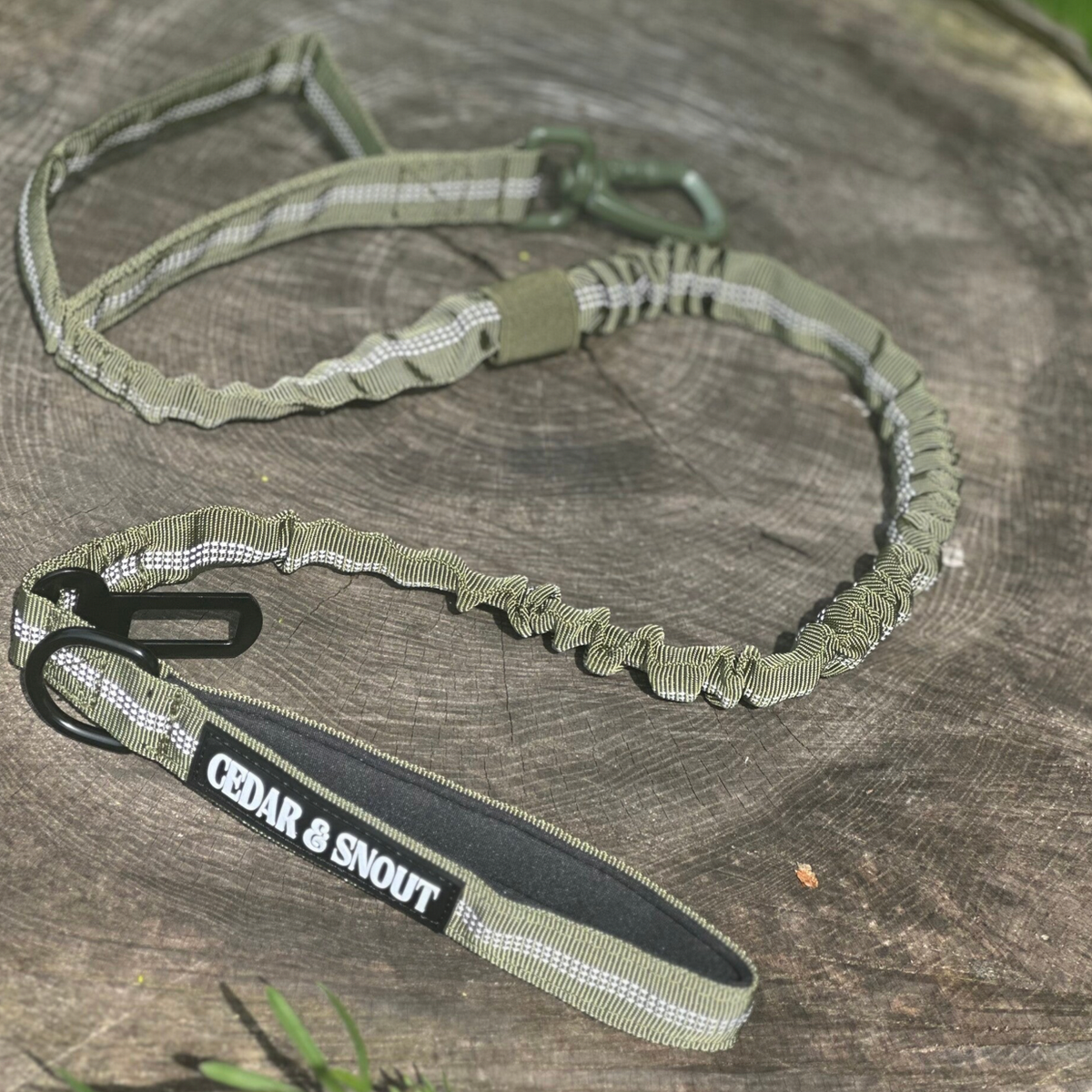 Vanguard Seatbelt Lead