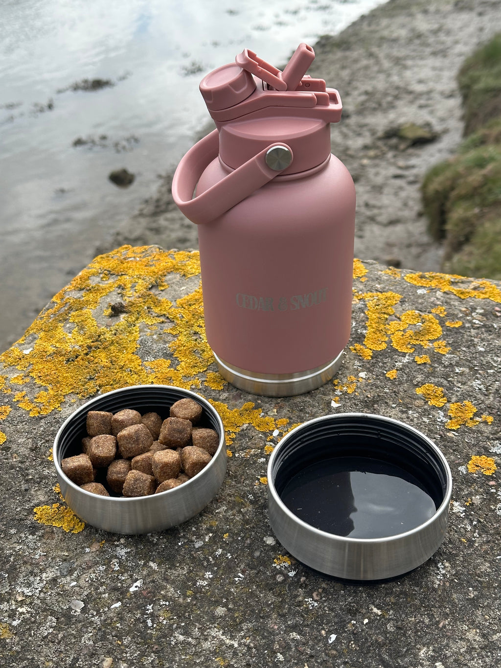 3 in 1 Adventure Bottle