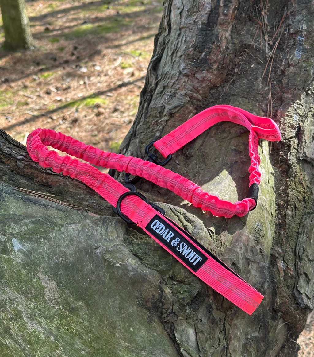 Vanguard Seatbelt Lead