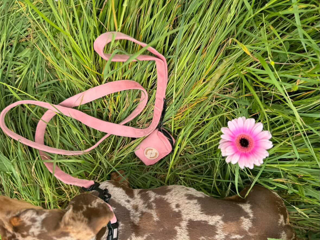 Cabin dog lead - Bloom