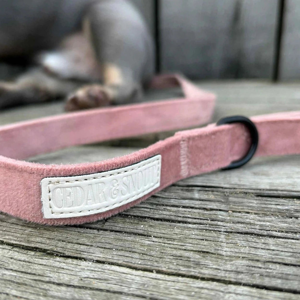 Cabin dog lead - Bloom