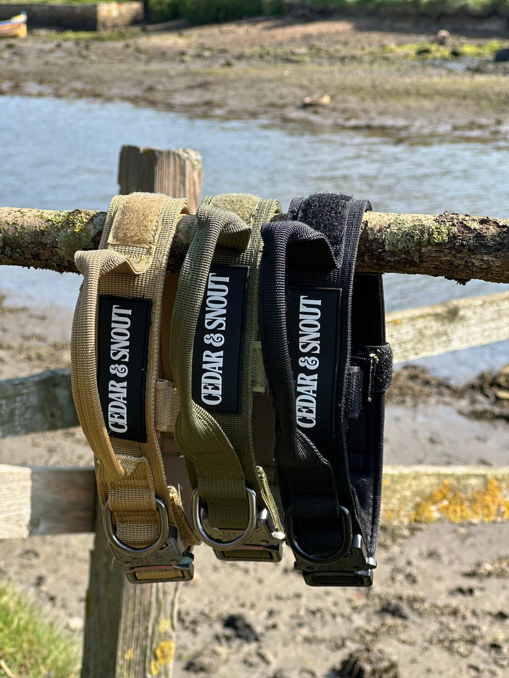 Vanguard Collar