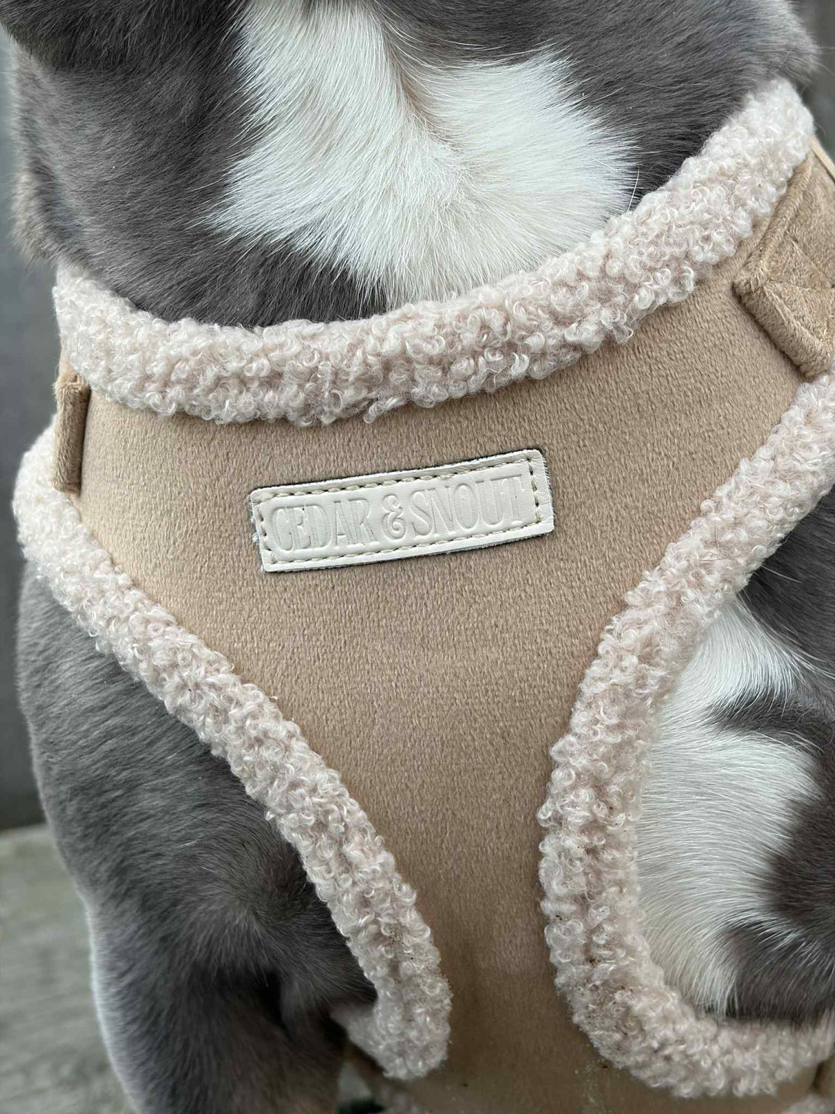 Cabin Harness - Fawn