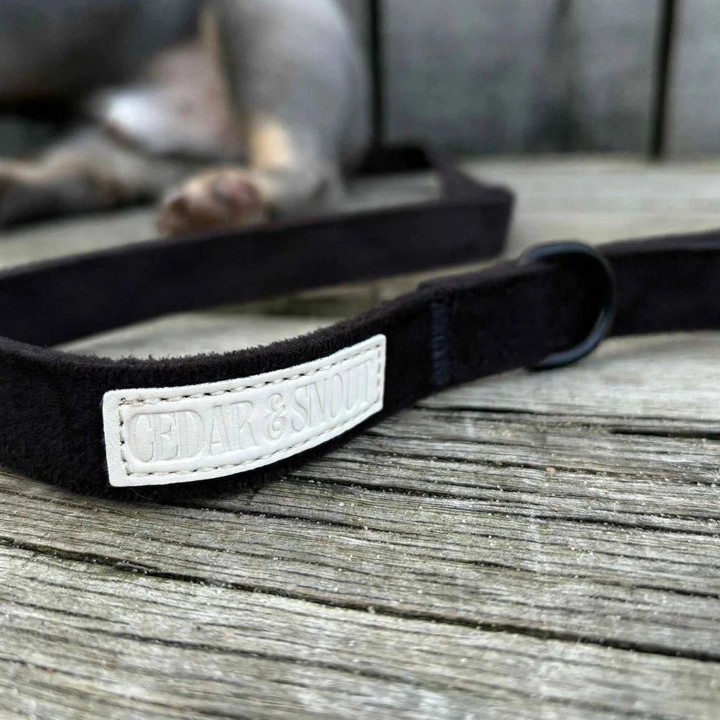 Cabin Onyx - Harness, Collar, Lead & Poop Bag Holder Bundle
