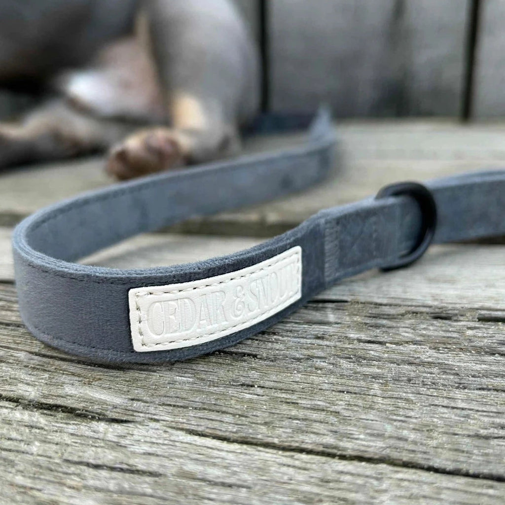 Cabin Ash - Harness, Collar, Lead & Poop Bag Holder Bundle